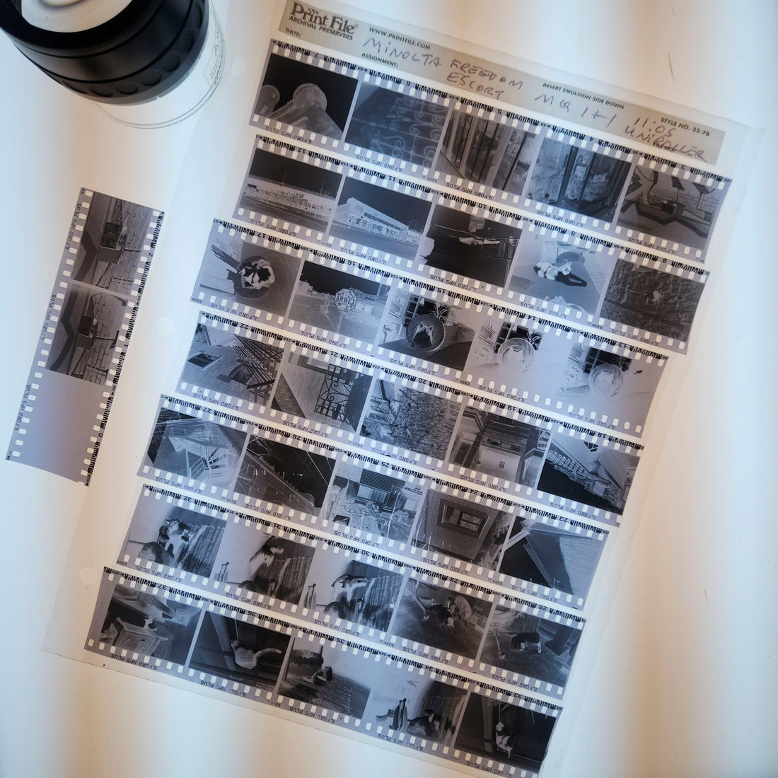 Minolta Freedom Escort film test notes