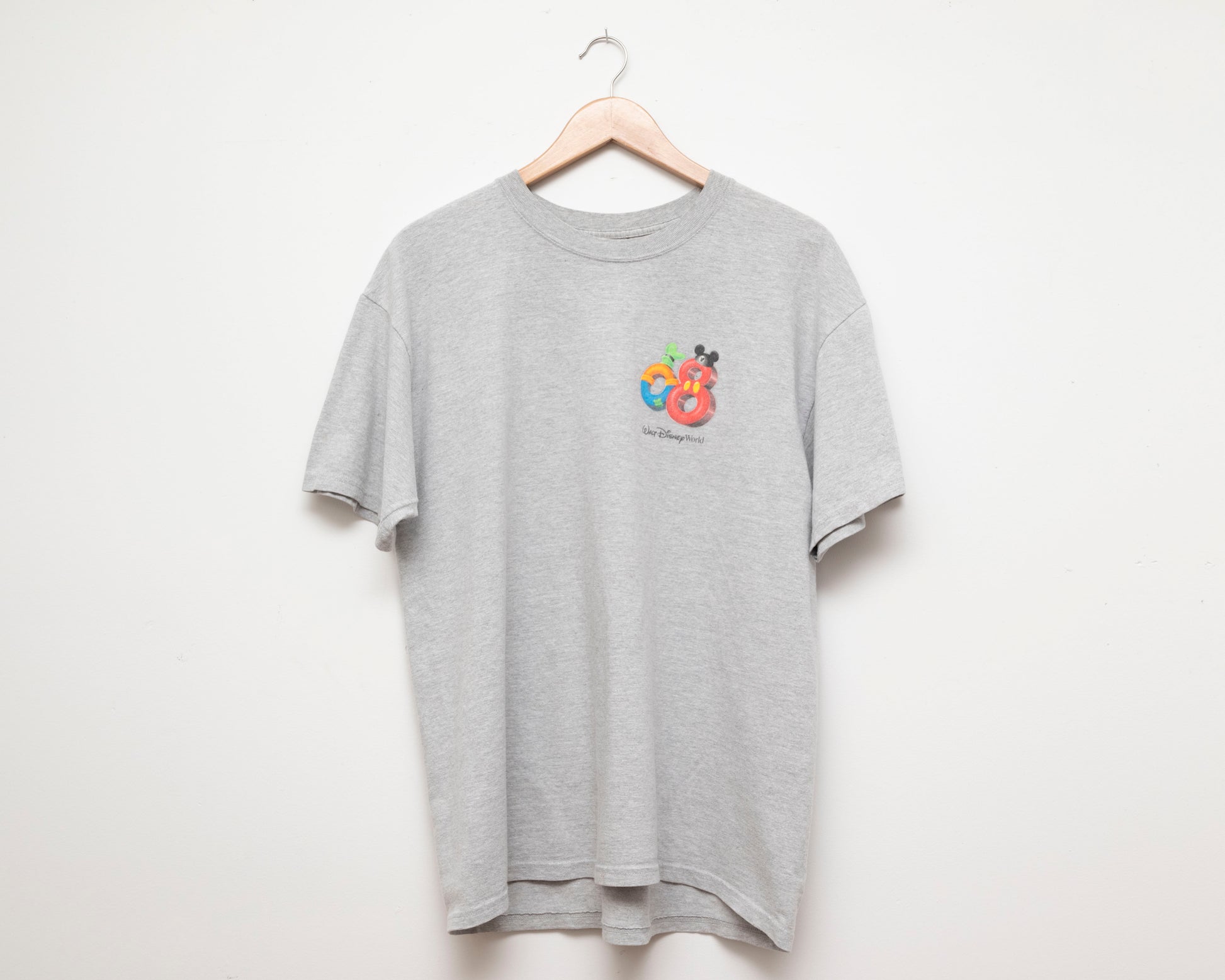 Disney World t-shirt 2008