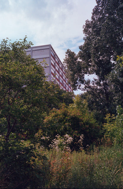 Appareil photo Mamiya 135 AF 35mm avec étui (série 1022364) | film🎞 testé
