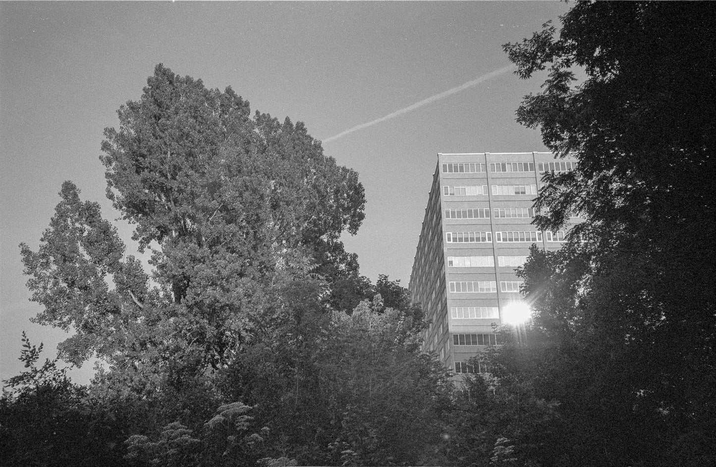 Appareil photo argentique 35 mm Canon Prima Mini (AKA Sure Shot M) avec étui + manuel (série 6500660)
