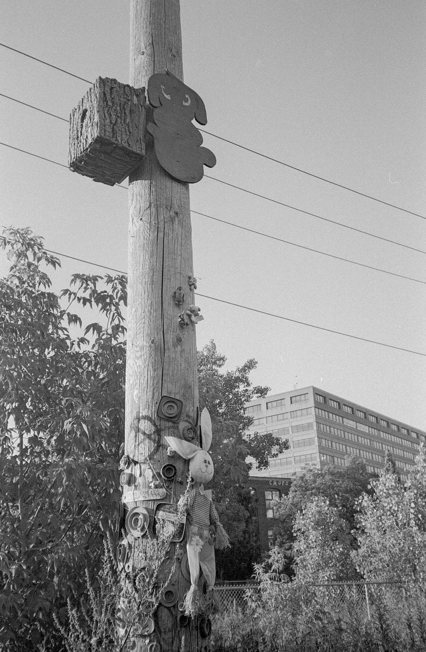 Appareil photo argentique 35 mm Canon Prima Mini (AKA Sure Shot M) avec étui + manuel (série 6500660)