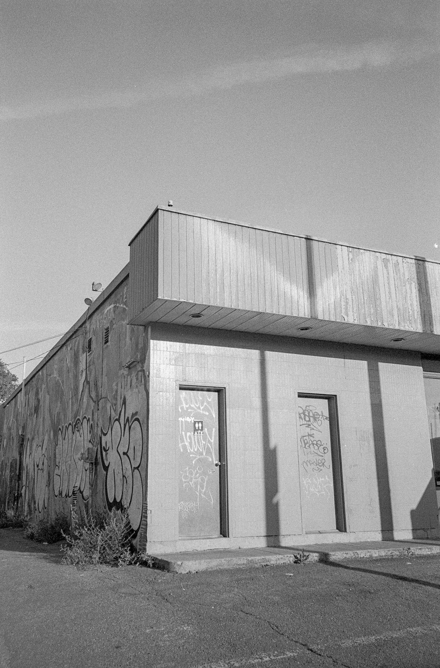 Appareil photo argentique 35 mm Canon Prima Mini (AKA Sure Shot M) avec étui + manuel (série 6500660)