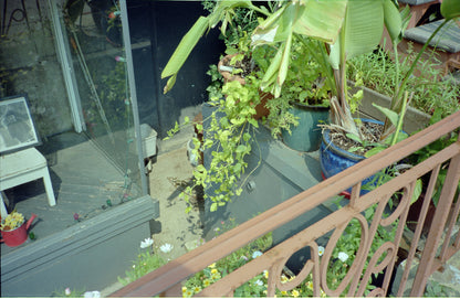 Minolta AF-S V "Talker" 35mm camera (serial 3118245)