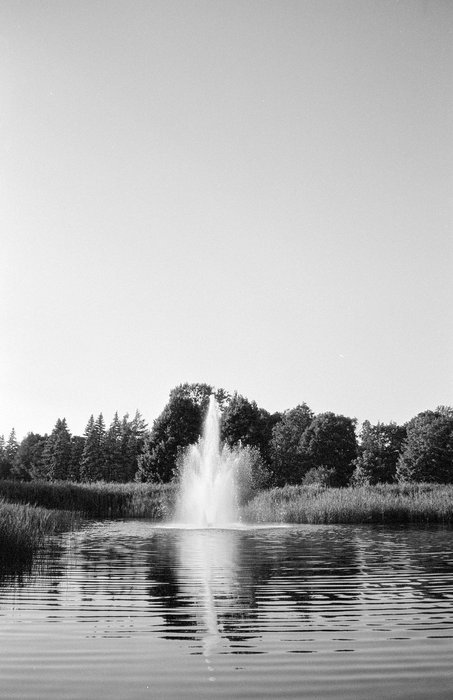 Appareil photo Minolta Hi-Matic AF2-M 35 mm (série 1310759)