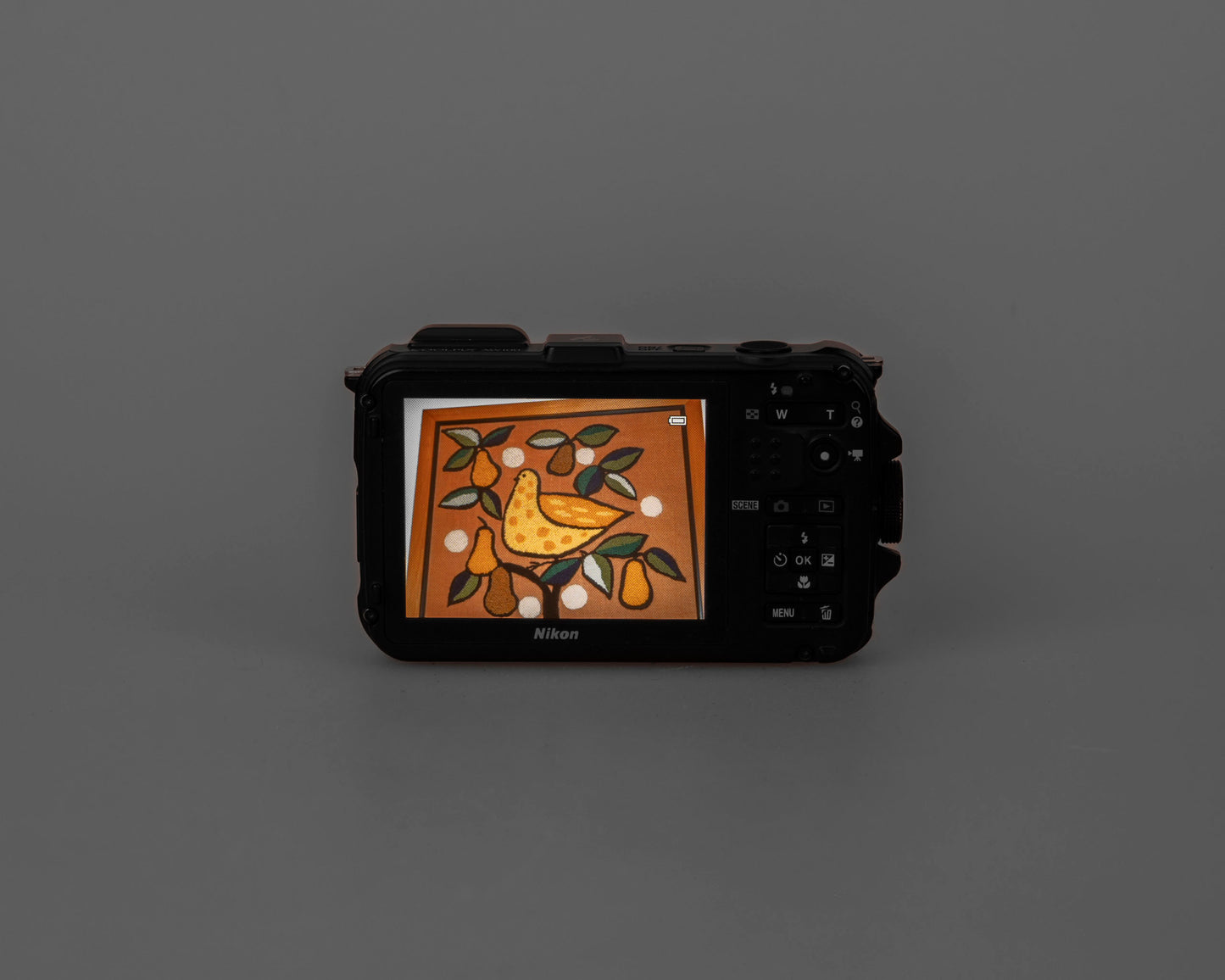 Appareil photo numérique robuste Nikon Coolpix AW100 16 MP avec carte SD de 8 Go + batterie + chargeur
