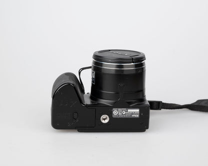 Nikon Coolpix L100 12.1 MP CCD sensor digicam (uses AA batteries + SD card)