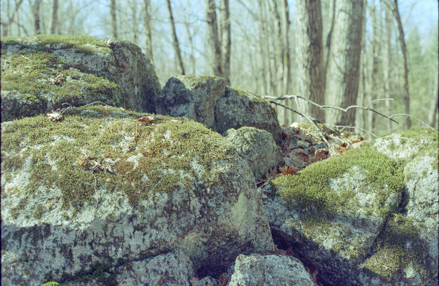 Nikon Nikkormat FT2 appareil photo reflex 35mm avec objectif Nikkor 50mm f2 (série 5418245) | film🎞testé