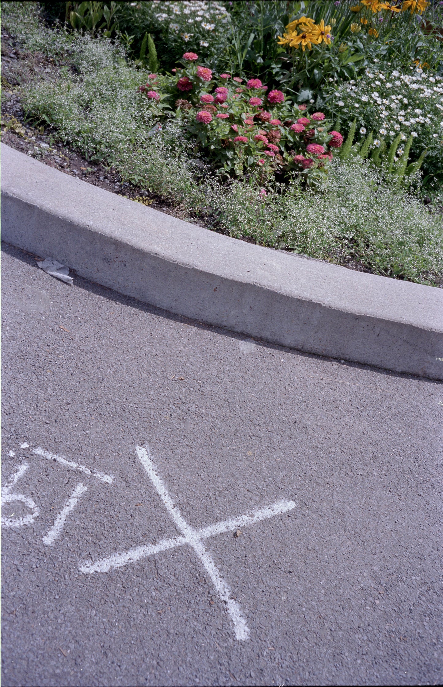 Olympus Trip 35 35mm camera (serial 3023805)