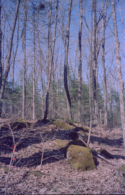 Appareil photo Pentax Espio 160 35 mm avec étui (série 2173217) 🎞 testé sur film 🎞