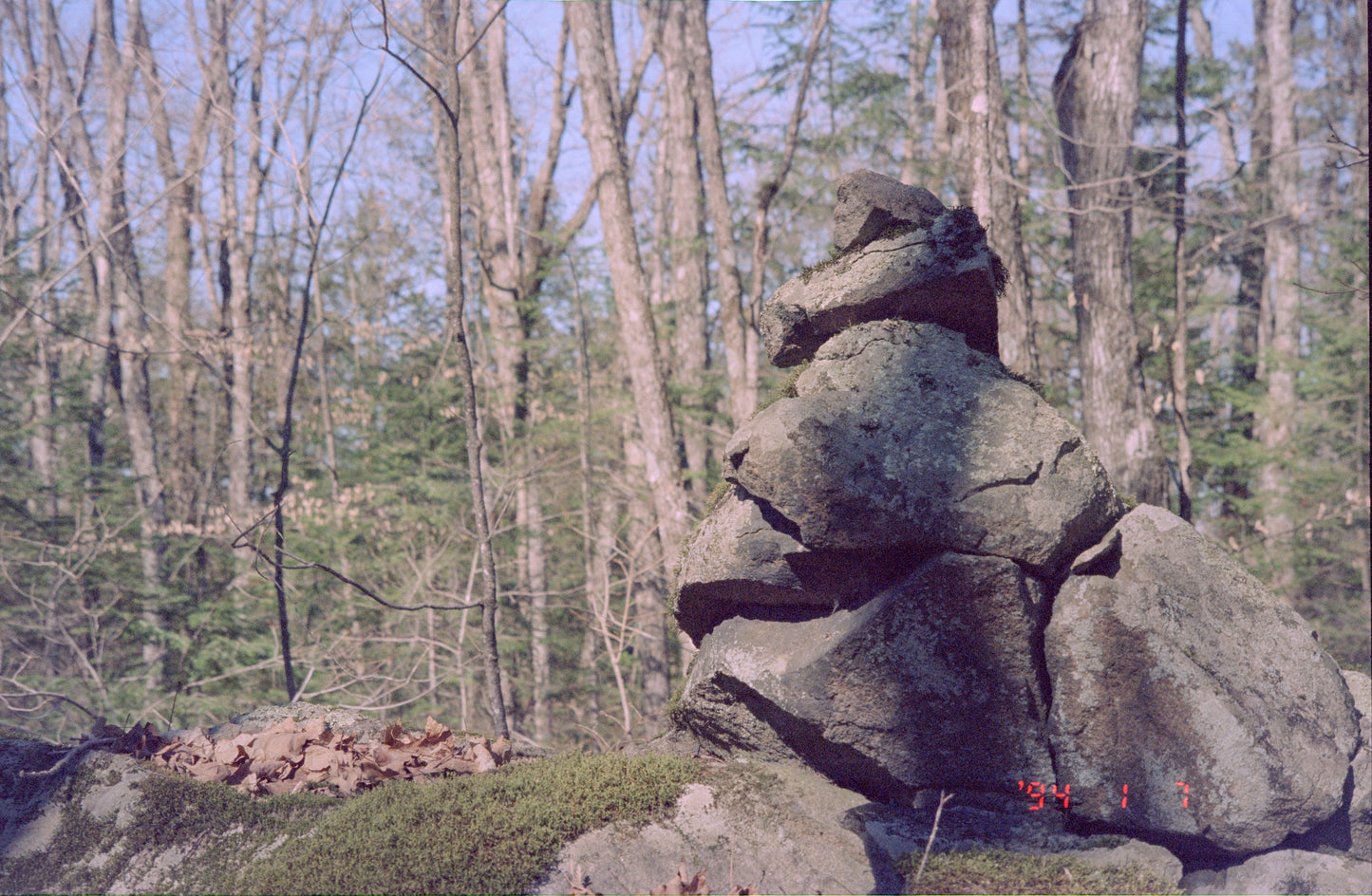 Appareil photo Pentax Espio 160 35 mm avec étui (série 2173217) 🎞 testé sur film 🎞