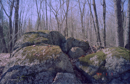 Appareil photo Pentax Espio 160 35 mm avec étui (série 2173217) 🎞 testé sur film 🎞