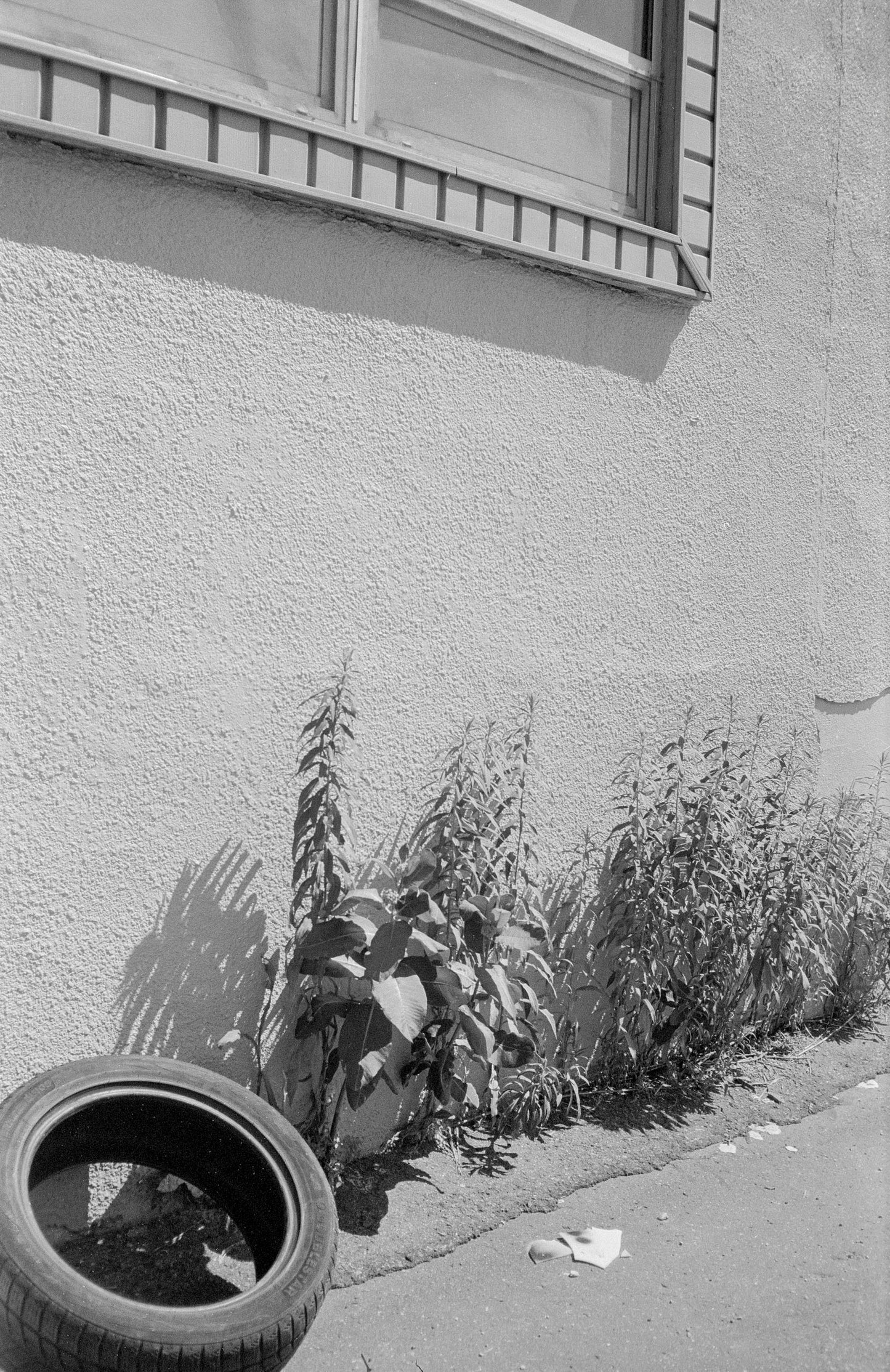 Ricoh AF-5 35mm camera w/ case (serial 77168749) | film🎞tested