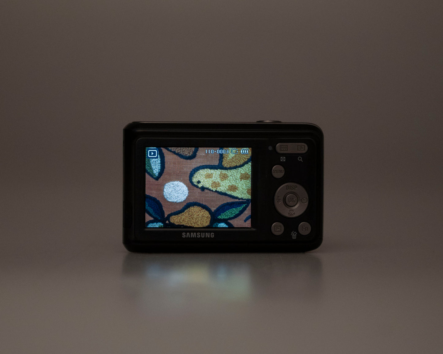 Appareil photo numérique à capteur CCD Samsung ES20 10,2 MP avec carte SD de 4 Go (série CJ66C30SC02913V)