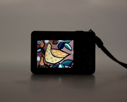 Samsung SL102 10.2 MP CCD sensor digicam w/ 2GB SD card + battery + charger (serial A1V3C908B0187L))