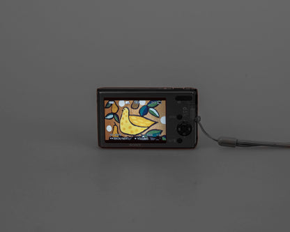 Appareil photo numérique Sony Cyber-Shot DSC-W180 10 MP avec carte mémoire 2 Go + chargeur + batterie