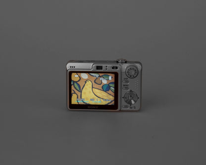 Appareil photo numérique Sony Cyber-Shot DSC-W55 7,2 MP avec carte mémoire 2 Go + chargeur + batterie + étui