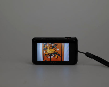 Sony Cyber-Shot DSC-TX10 16 MP digicam w/ 2 GB SD card + charger + battery + case