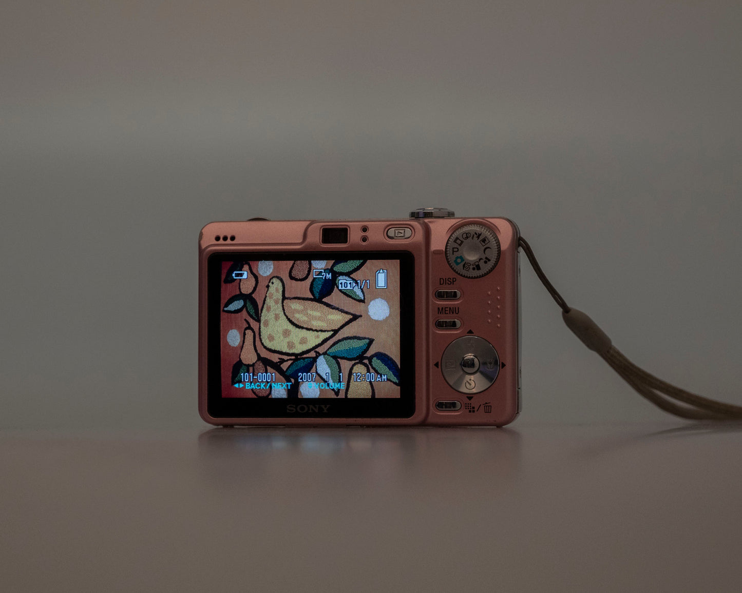 Sony Cyber-Shot DSC-W55 7.2 MP digicam w/ 8 GB memory card + charger + battery + case (serial 7444403)