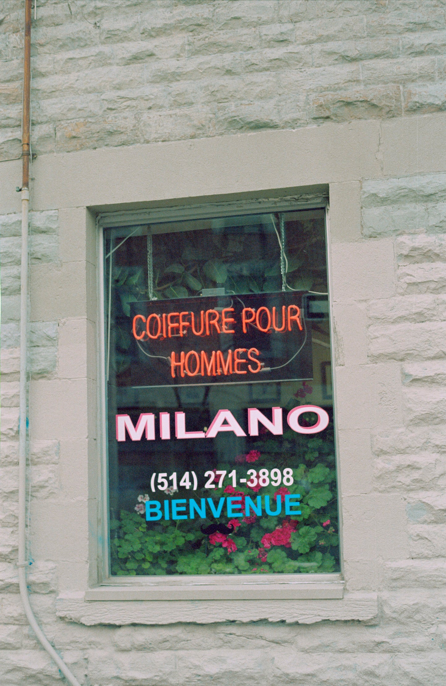 Reflex Yashica FX-3 35 mm avec objectif 50 mm f1.9 (série 924481)