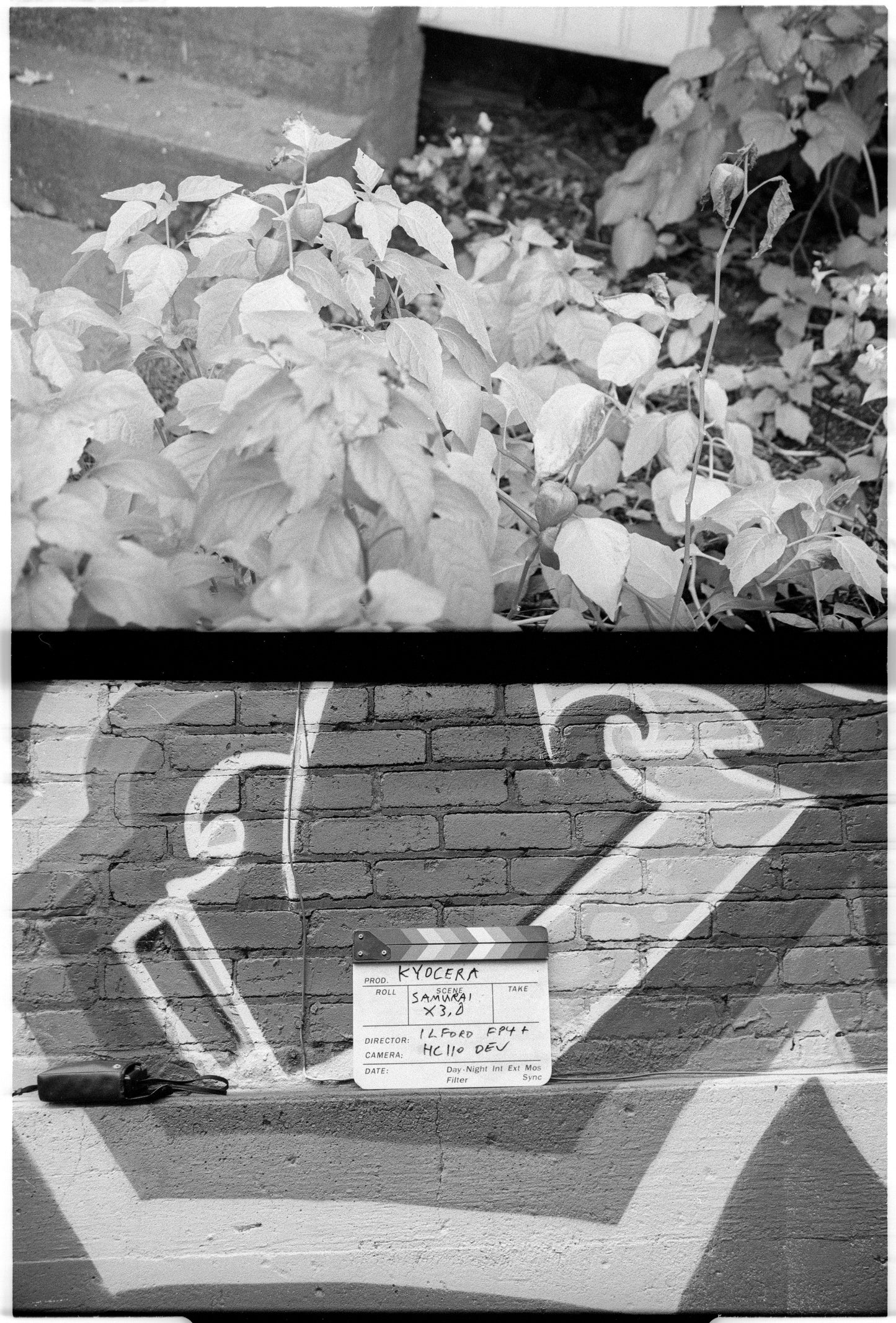 The Kyocera (Yashica) Samurai X3.0 half-frame 35mm SLR; test negative (showing two frames).  Ilford FP4 Plus film developed in HC110. Scanned with Nikon Coolscan V-ED.