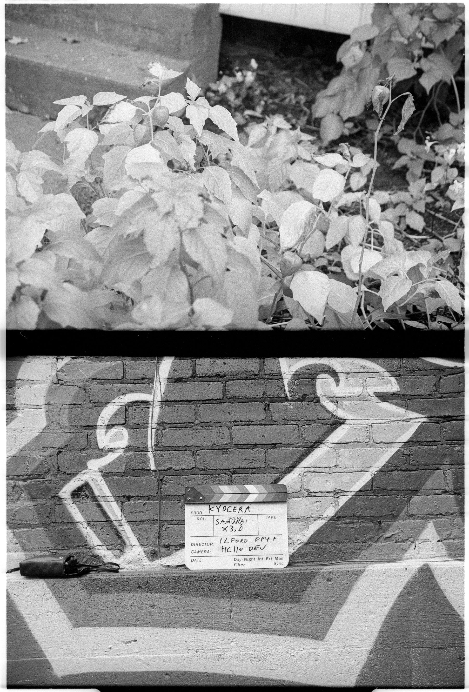 The Kyocera (Yashica) Samurai X3.0 half-frame 35mm SLR; test negative (showing two frames).  Ilford FP4 Plus film developed in HC110. Scanned with Nikon Coolscan V-ED.
